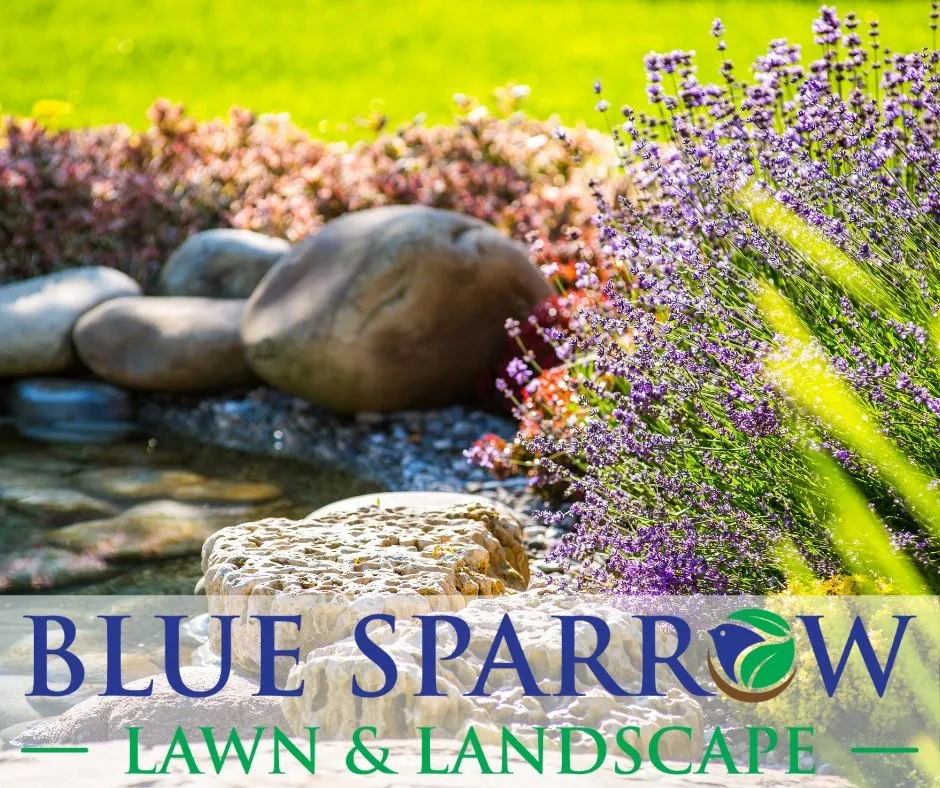 Reliable lawn mowing service in Excelsior Springs, MO by Blue Sparrow Lawn & Landscape