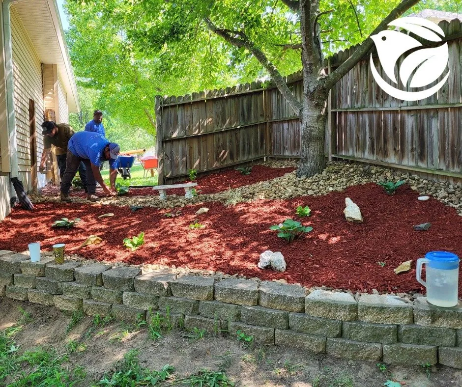 Local lawn care service for year-round maintenance in Excelsior Springs, MO by Blue Sparrow Lawn & Landscape