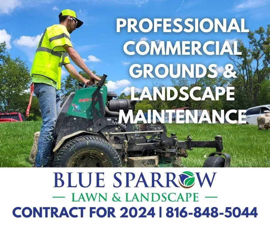 Custom yard cleanup service for homes in Excelsior Springs, MO by Blue Sparrow Lawn & Landscape