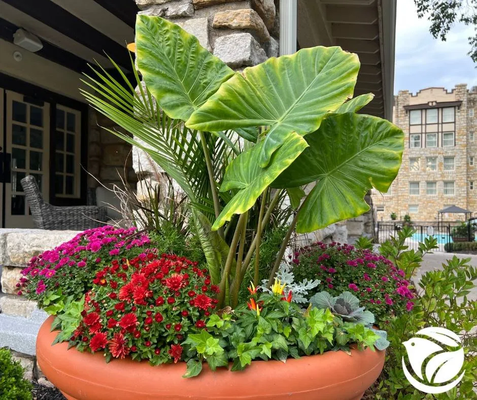 Local yard cleanup service near you in Excelsior Springs, MO by Blue Sparrow Lawn & Landscape