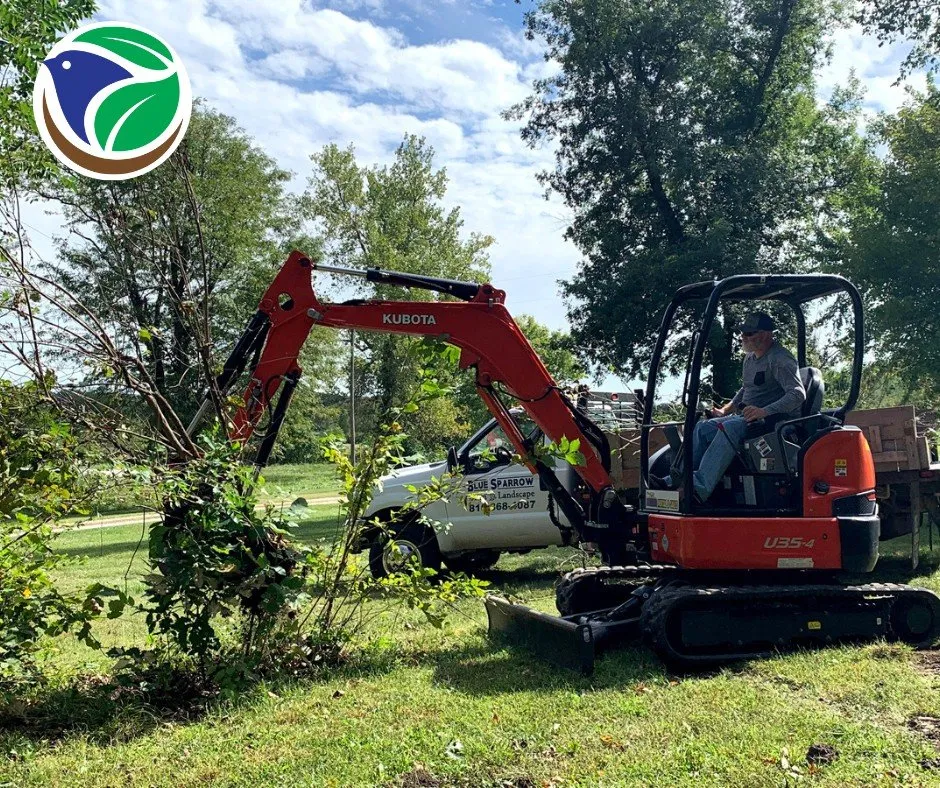 Top-rated yard maintenance in Excelsior Springs, MO - Blue Sparrow Lawn & Landscape