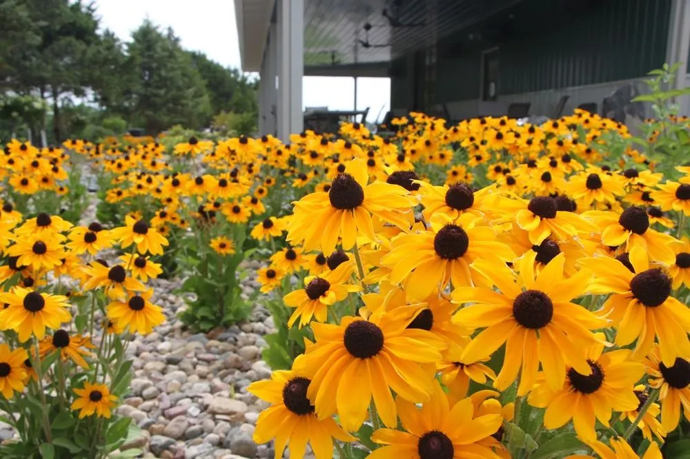 Reliable landscaping services in Excelsior Springs, MO by Blue Sparrow Lawn & Landscape