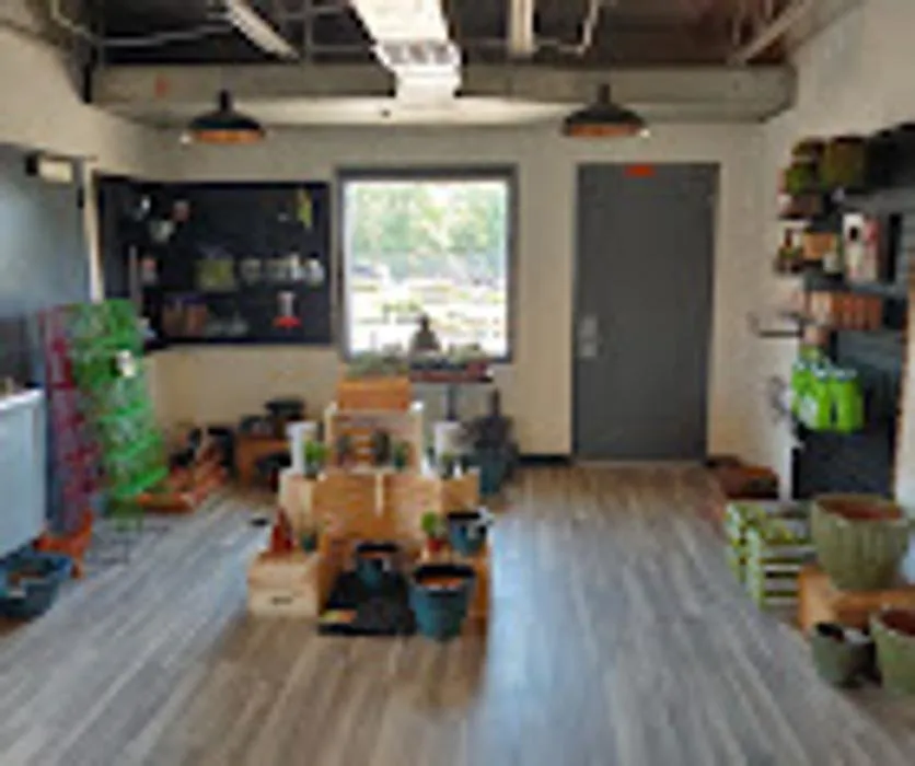 Professional yard maintenance experts serving Excelsior Springs, MO - Blue Sparrow Lawn & Landscape