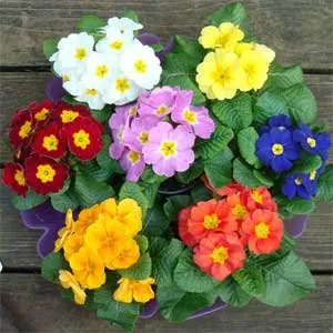 Expert landscape installation in Fairview, OR by Blue Springs Lawn & Construction