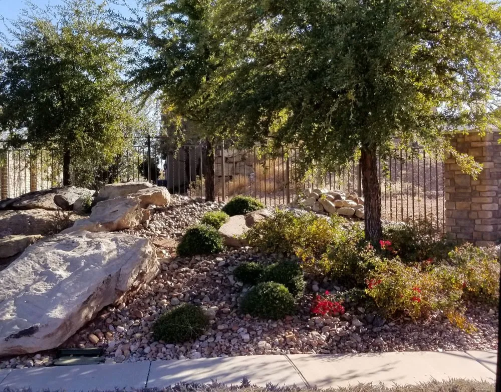 Affordable yard cleanup service in St George, UT by Blue Spruce Concrete & Landscaping