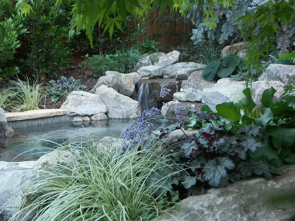 Expert yard cleanup service experts serving Campbell, CA - Blue Spruce Landscape & Construction