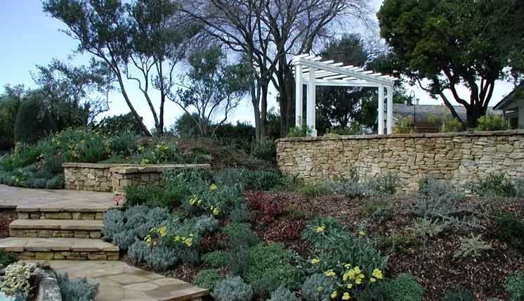 Top-rated lawn mowing service in Campbell, CA - Blue Spruce Landscape & Construction