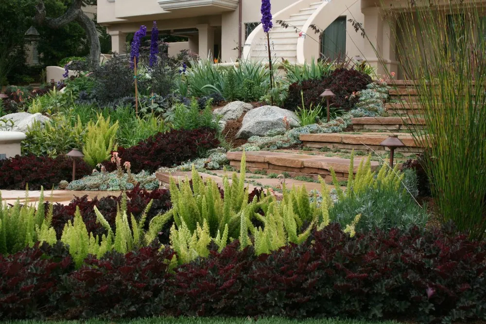 Expert lawn care service experts serving Campbell, CA - Blue Spruce Landscape & Construction