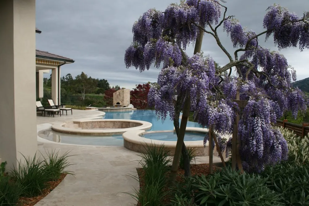 Professional landscape design in Campbell, CA by Blue Spruce Landscape & Construction