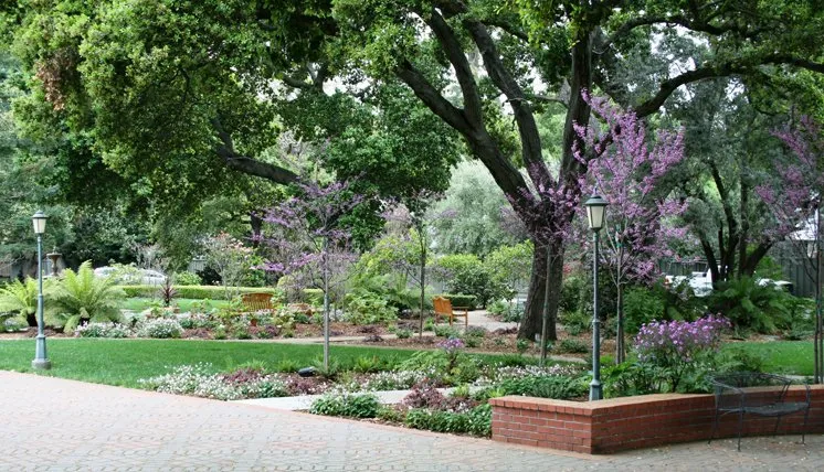 Expert lawn mowing service in Campbell, CA - Blue Spruce Landscape & Construction