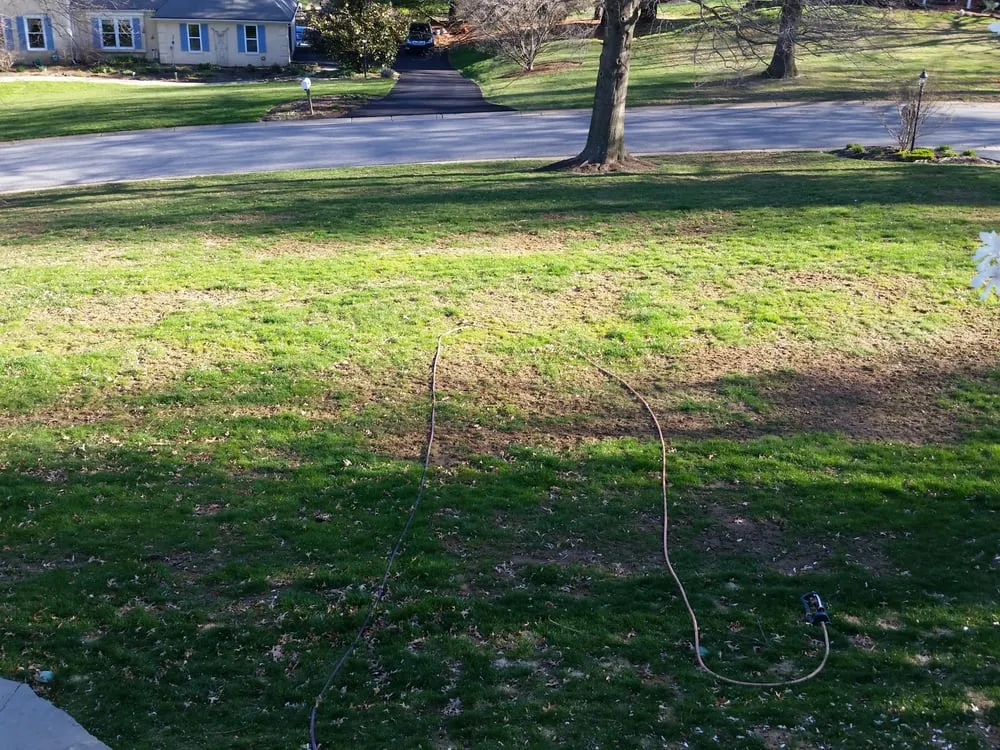 Professional garden landscaping in Chadds Ford, PA - Blue Spruce Landscaping