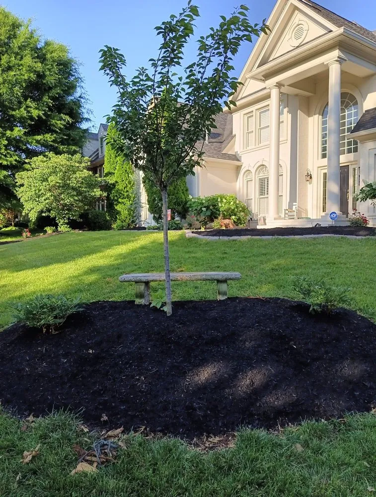 Custom yard cleanup service in Knoxville, TN - Blue Spruce Landscaping