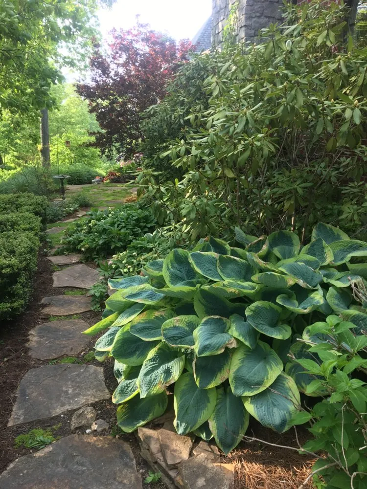 Reliable lawn care service in Knoxville, TN by Blue Spruce Landscaping