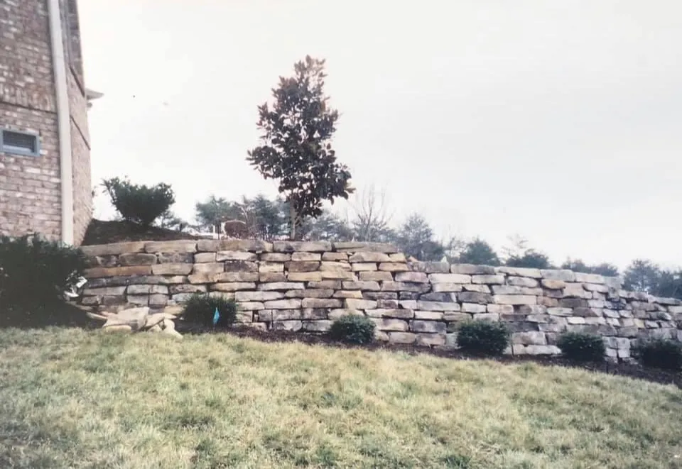 Local yard maintenance in Knoxville, TN - Blue Spruce Landscaping