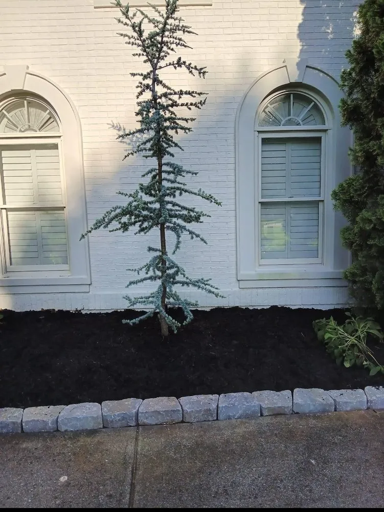Affordable landscaping services in Knoxville, TN by Blue Spruce Landscaping