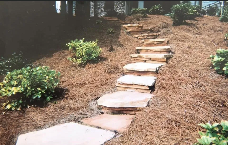 Trusted yard maintenance experts serving Knoxville, TN - Blue Spruce Landscaping