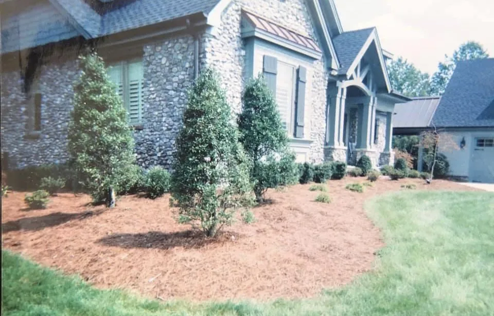 Top-rated outdoor landscaping in Knoxville, TN - Blue Spruce Landscaping