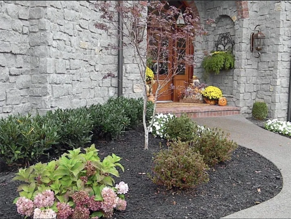 Professional yard cleanup service in Knoxville, TN - Blue Spruce Landscaping