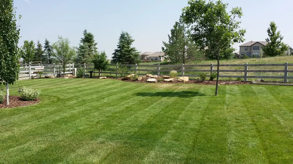 Custom garden landscaping for beautiful yards across Broomfield, CO - Blue Spruce Lawn & Landscape Co