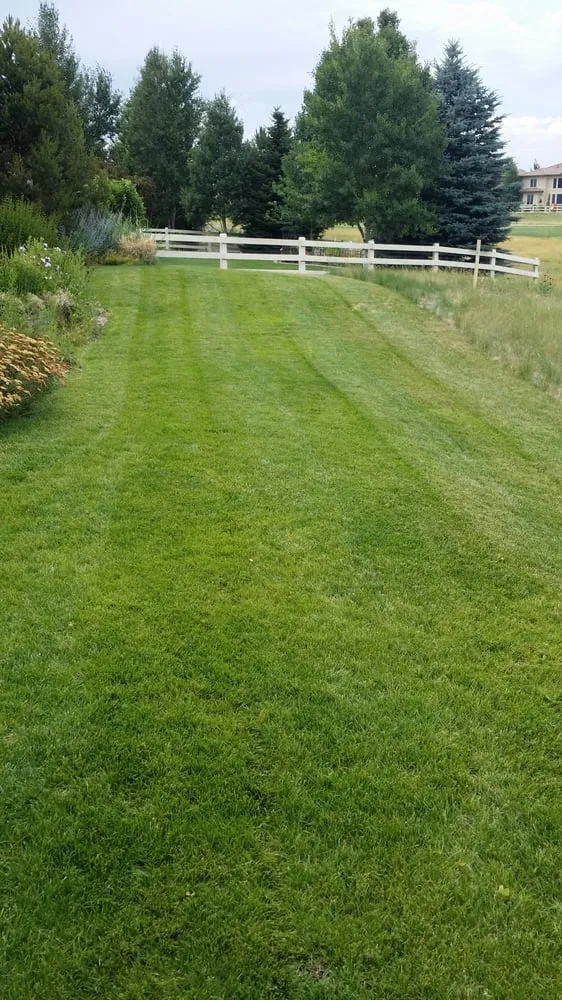 Trusted lawn care service in Broomfield, CO - Blue Spruce Lawn & Landscape Co
