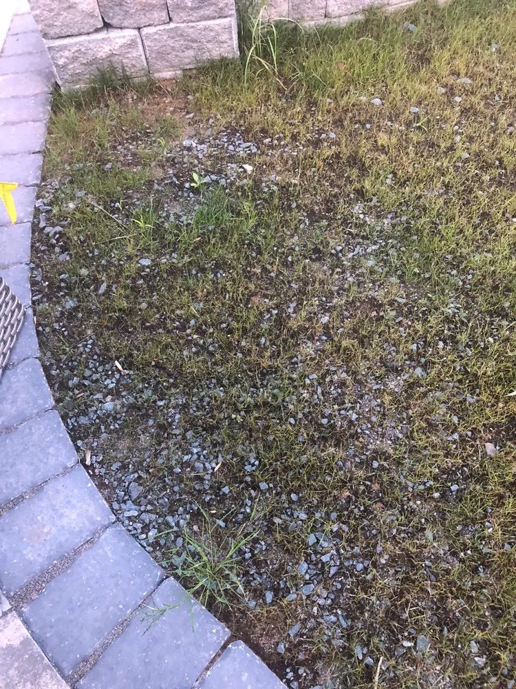 Reliable landscaping services experts serving Clifton Park, NY - Blue Spruce Nursery & Landscaping