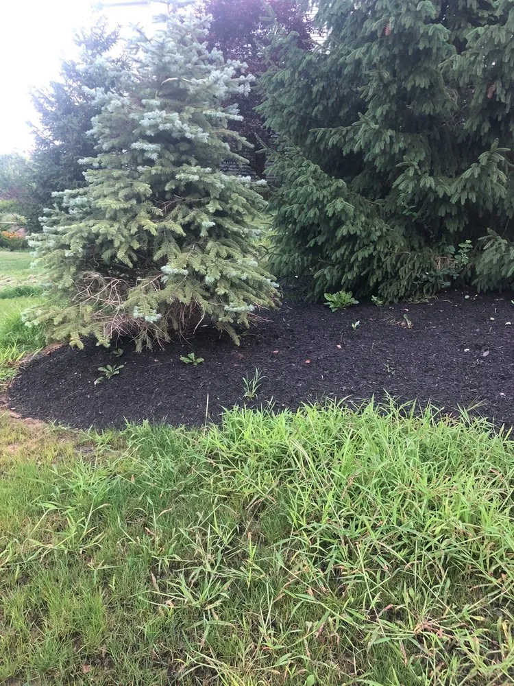 Expert lawn care service for residential properties in Clifton Park, NY by Blue Spruce Nursery & Landscaping