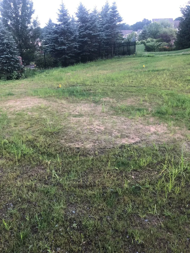 Trusted garden landscaping in Clifton Park, NY - Blue Spruce Nursery & Landscaping