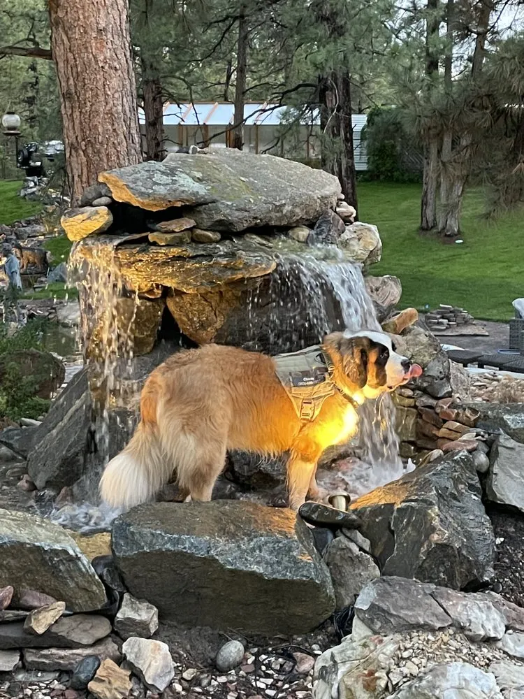 Affordable landscape installation in Aurora, CO - Blue Spruce Ponds