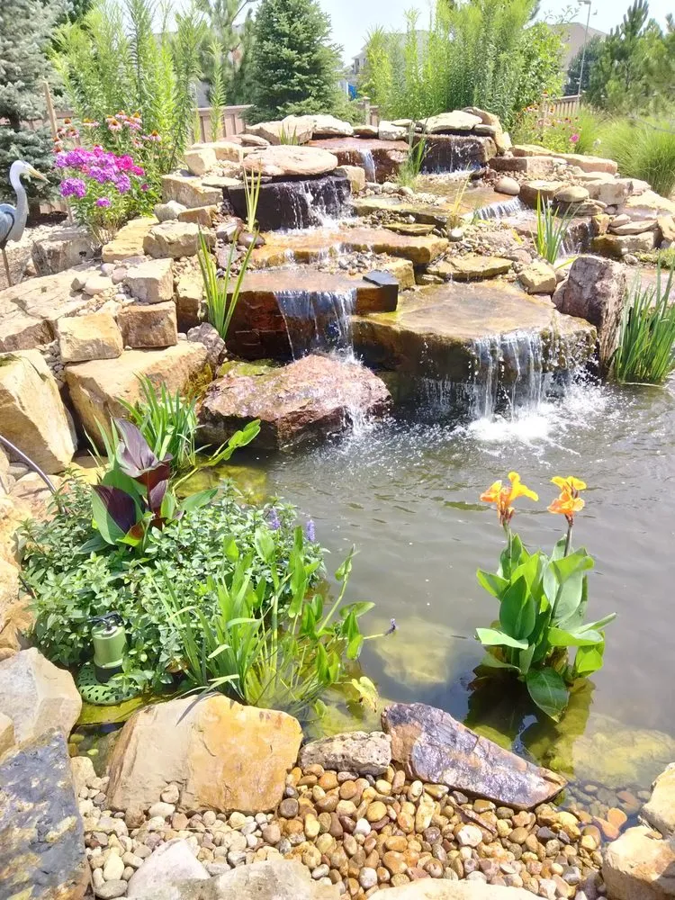 Reliable garden landscaping in Aurora, CO by Blue Spruce Ponds