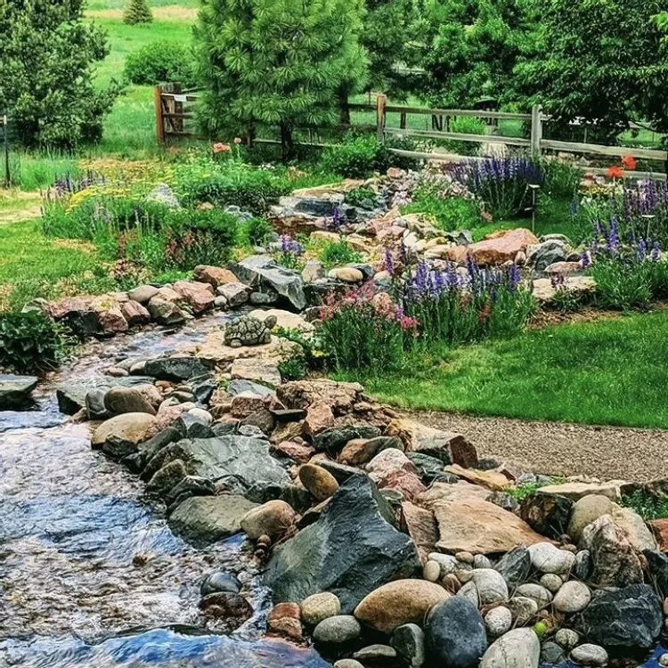 Professional garden landscaping in Aurora, CO by Blue Spruce Ponds