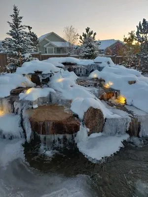 Blue Spruce Ponds Logo