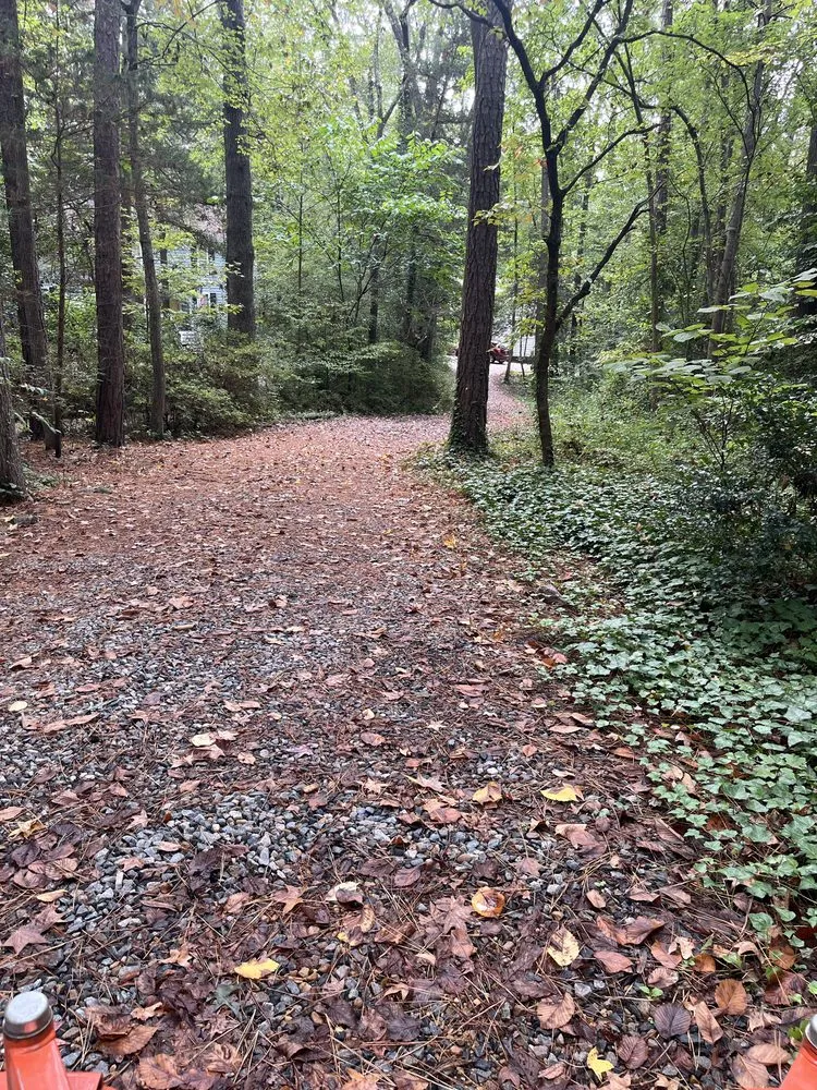 Affordable landscaping services in Hopewell, VA by Blue Squad