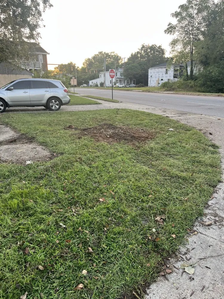 Custom yard maintenance experts serving Hopewell, VA - Blue Squad