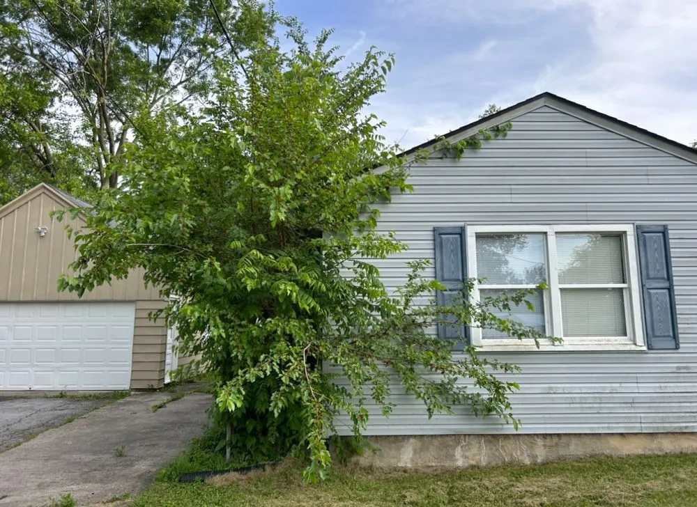 Professional lawn care service experts serving Fort Wayne, IN - Blue Star Maintenance