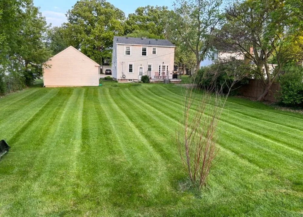 Professional landscape design experts serving Fort Wayne, IN - Blue Star Maintenance