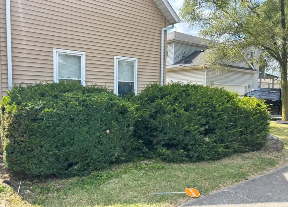 Local yard maintenance for year-round maintenance across Fort Wayne, IN - Blue Star Maintenance