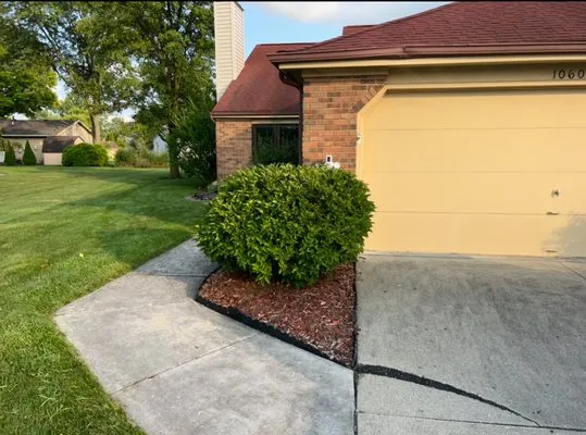 Blue Star Maintenance Logo