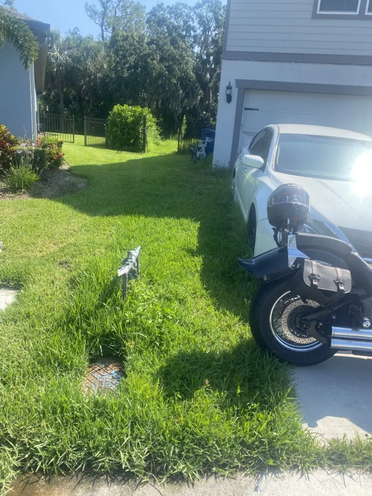 Professional landscape design in Bradenton, FL by Blue Stone Lawn Care