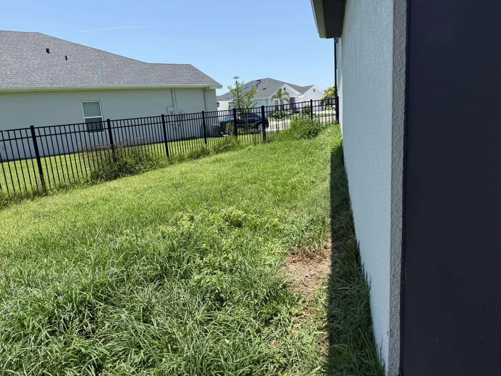 Affordable lawn mowing service in Bradenton, FL - Blue Stone Lawn Care