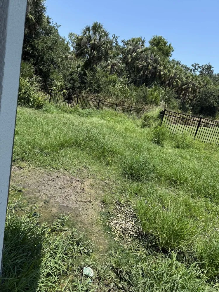 Trusted landscape design with custom design in Bradenton, FL by Blue Stone Lawn Care