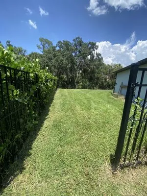 Blue Stone Lawn Care Logo