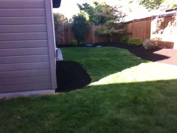 Professional outdoor landscaping experts serving Boise, ID - Blue summer lawn care