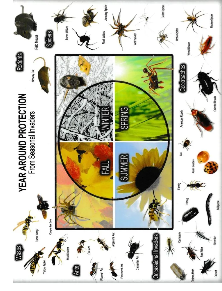 Expert outdoor landscaping experts serving Boise, ID - Blue summer lawn care