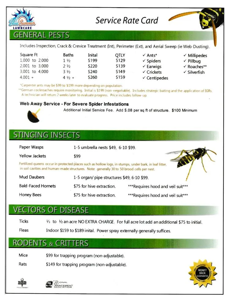 Custom landscape installation with custom design in Boise, ID by Blue summer lawn care