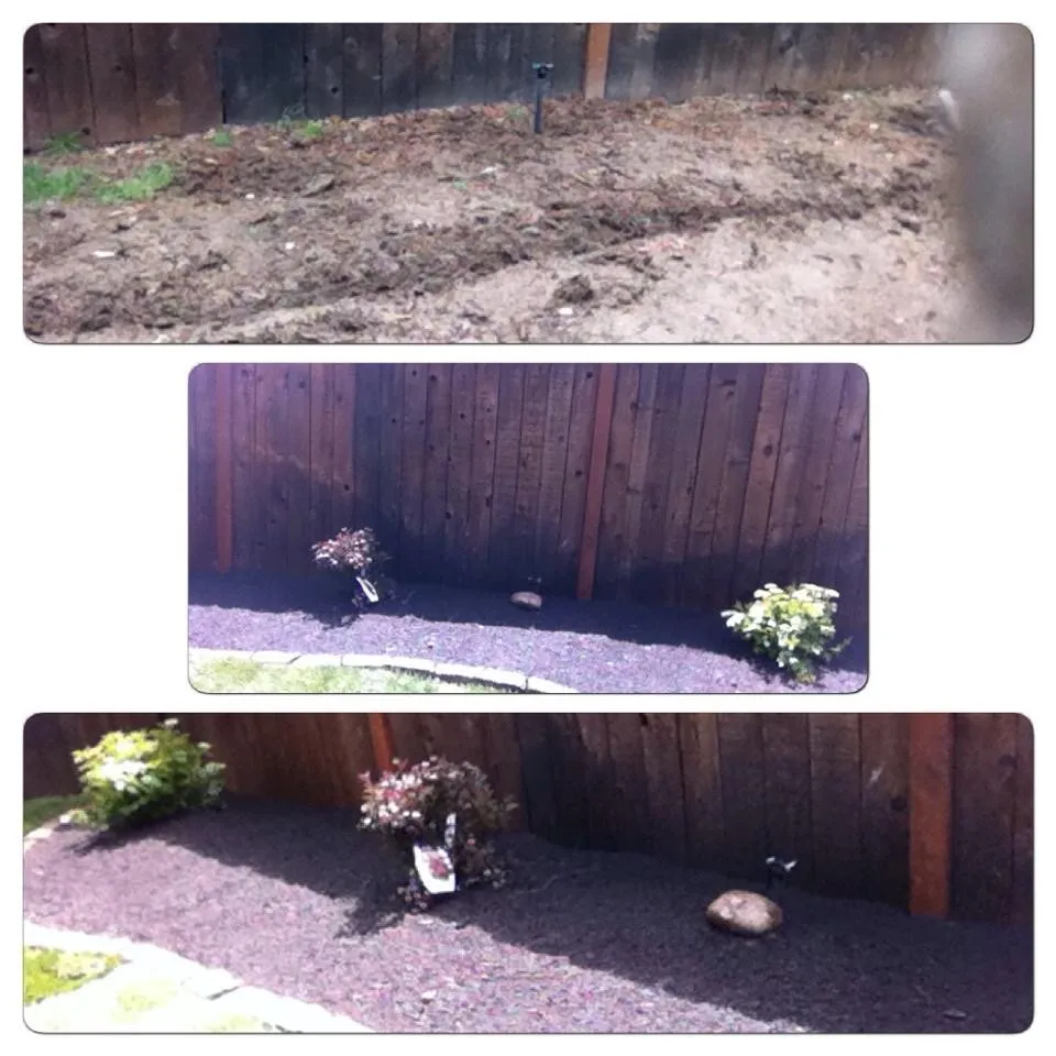 Professional residential landscaping experts serving Boise, ID - Blue summer lawn care