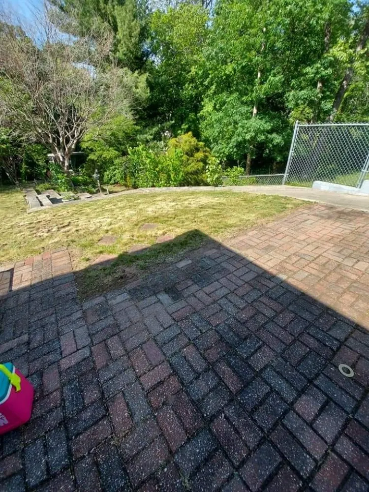 Trusted yard cleanup service in Springfield, MA - Blue Team Landscaping And Snow Removal