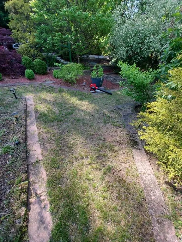 Reliable lawn care service for beautiful yards across Springfield, MA - Blue Team Landscaping And Snow Removal