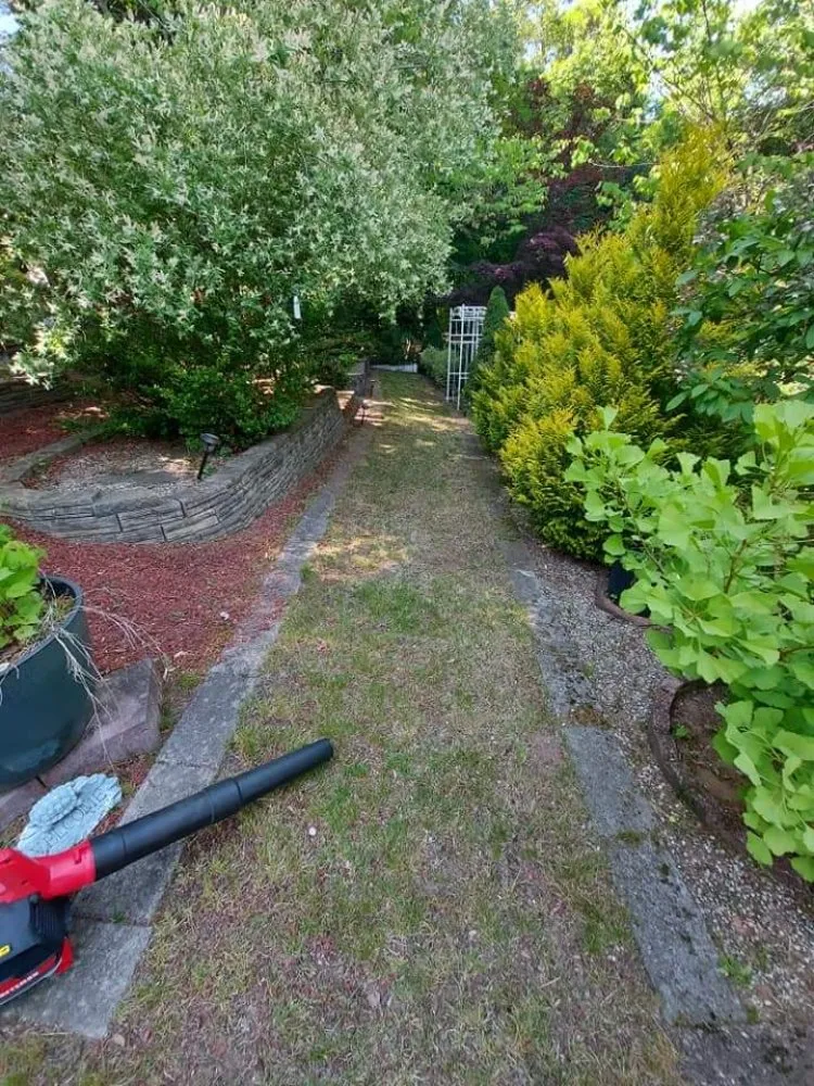 Top-rated lawn mowing service for year-round maintenance across Springfield, MA - Blue Team Landscaping And Snow Removal