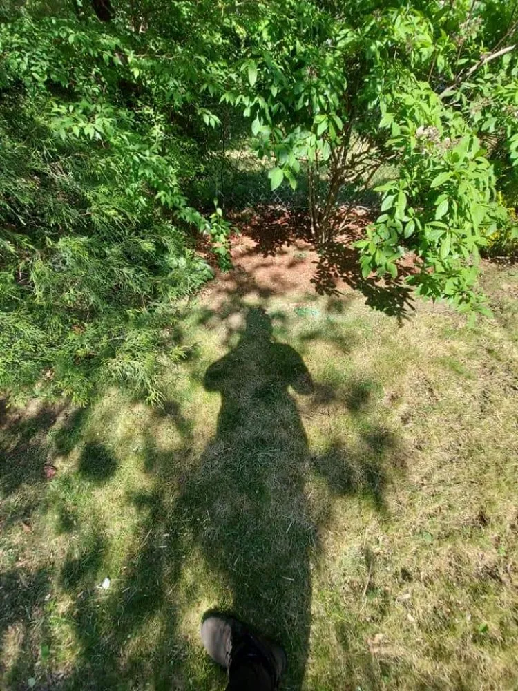 Expert yard maintenance in Springfield, MA - Blue Team Landscaping And Snow Removal