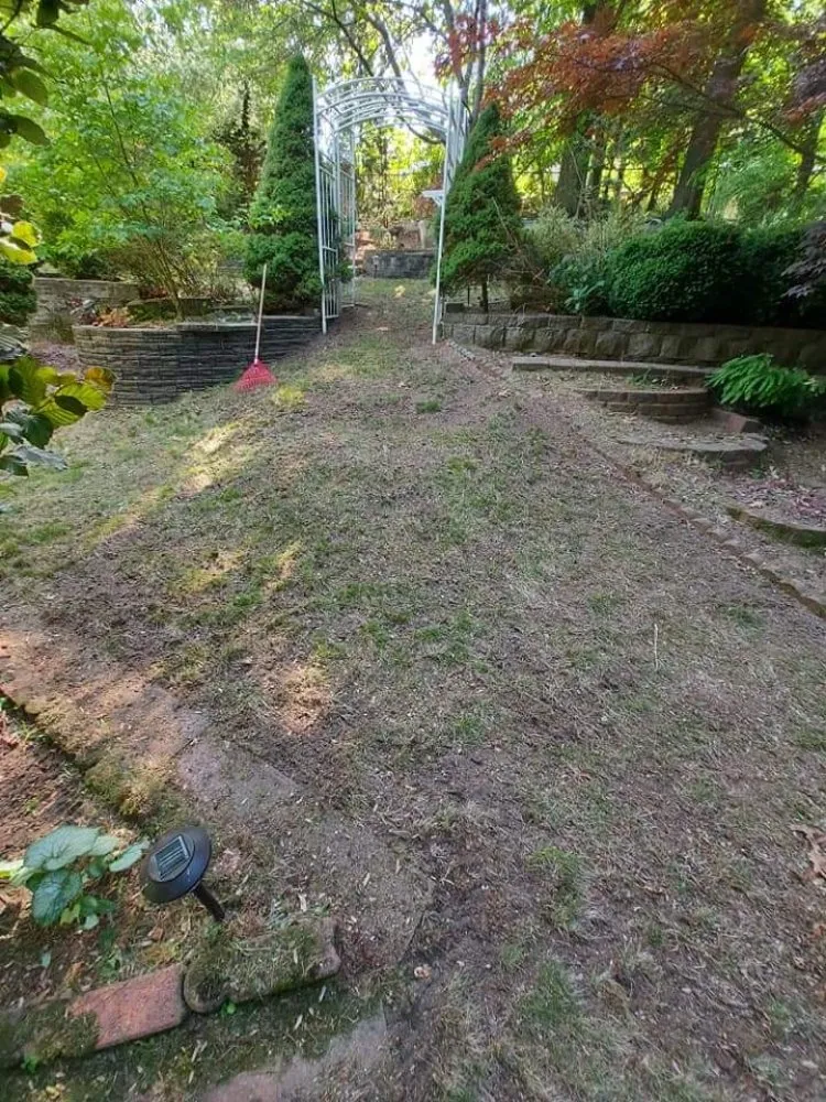 Top-rated lawn care service for year-round maintenance across Springfield, MA - Blue Team Landscaping And Snow Removal